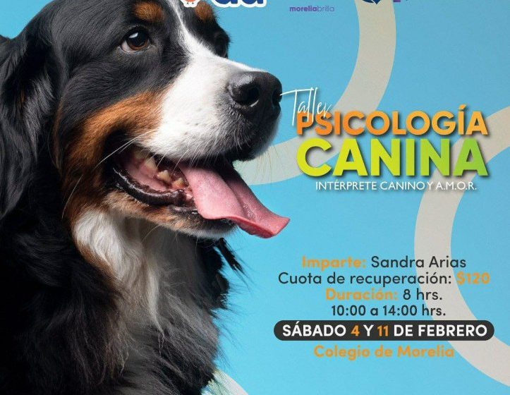  Curso sobre Psicología Canina en el Colegio de Morelia