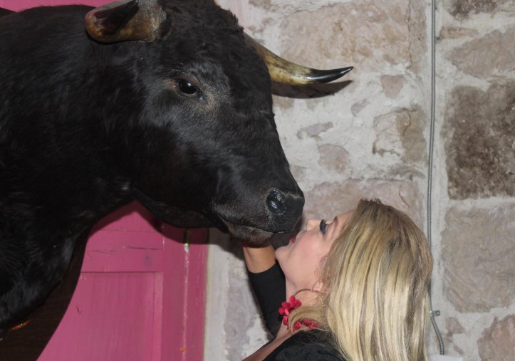 Gallos, toros y espectáculo con caballos no son clandestinos: Marbella Romero