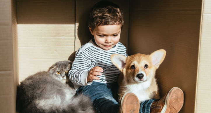  ¿Porque es bueno que los niños aprendan amar a las mascotas?