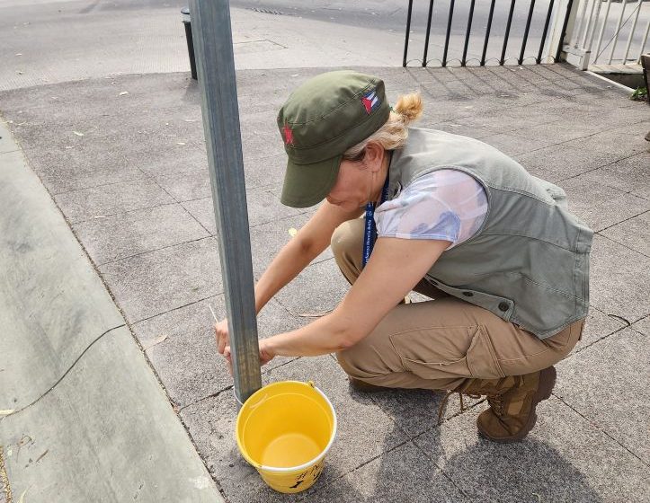  Agua para los perros y gatos de la calle, en temporada calurosa: Minerva Bautista