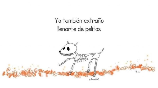  ¿Qué lleva el altar de muertos para mascotas y cuándo llegan a la ofrenda?