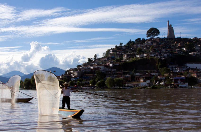  Shampoo y Cosméticos que se fabrican en la orilla del Lago de Pátzcuaro están sin permiso