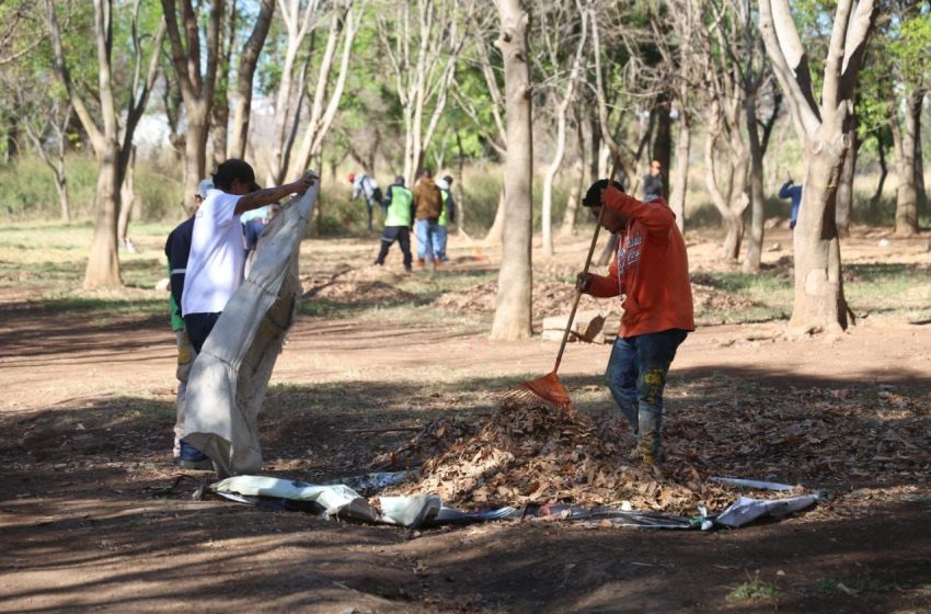  Alfonso Martínez anuncia rescate del Arboretum