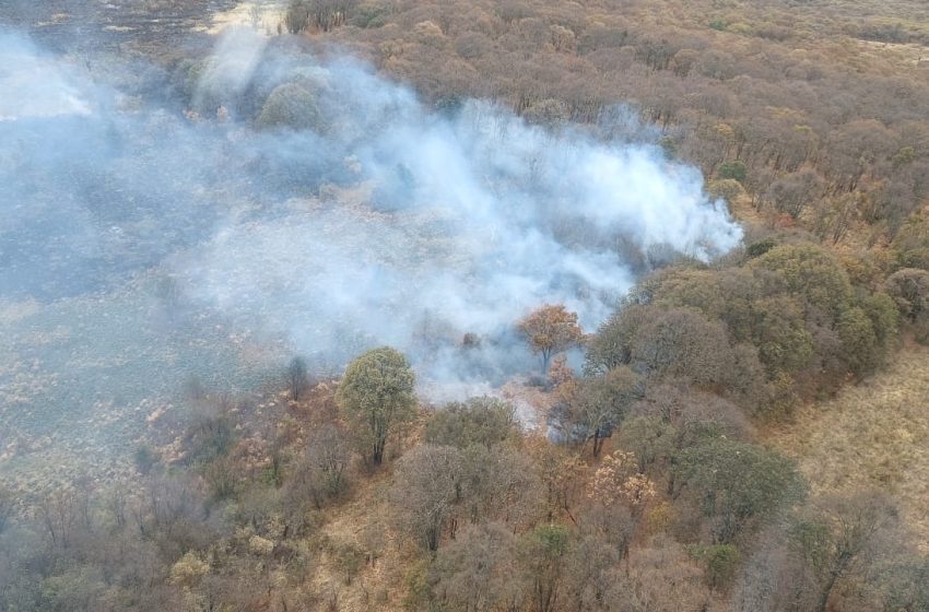  Por tierra y aire se combate incendio forestal en el cerro del Águila