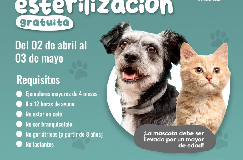  Gobierno de Morelia invita a Jornada de esterilización para mascotas