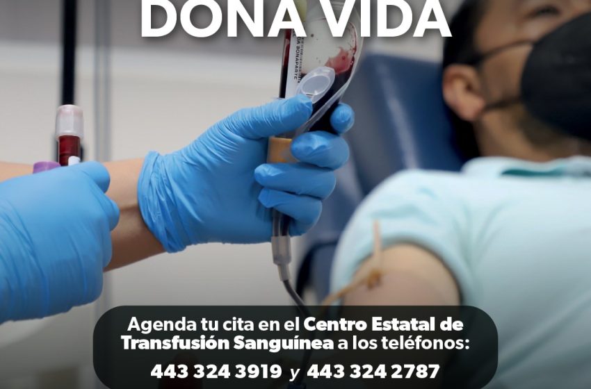  Donar sangre ayuda a salvar vidas; conoce los requisitos