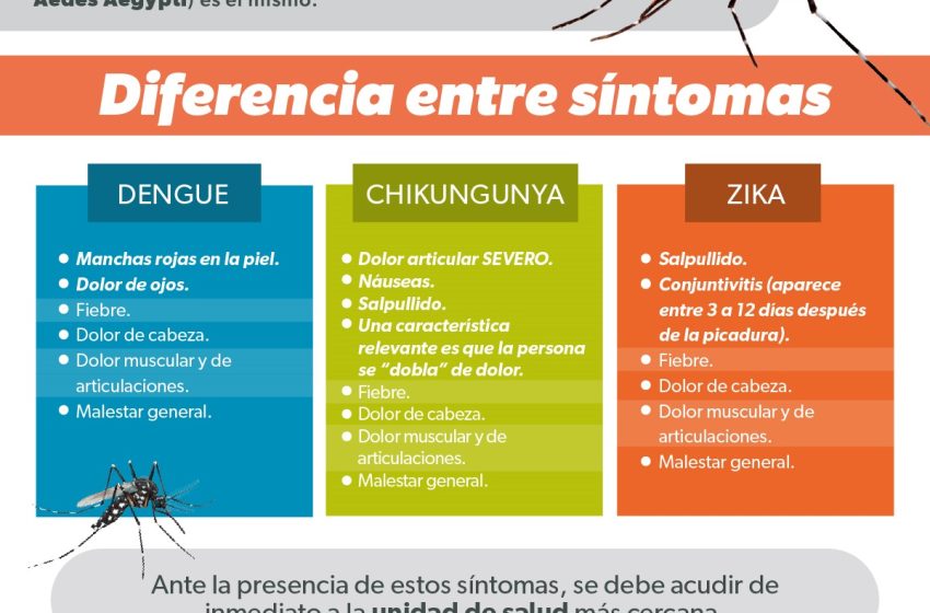  Conoce los síntomas que diferencian el dengue, zika y chikungunya