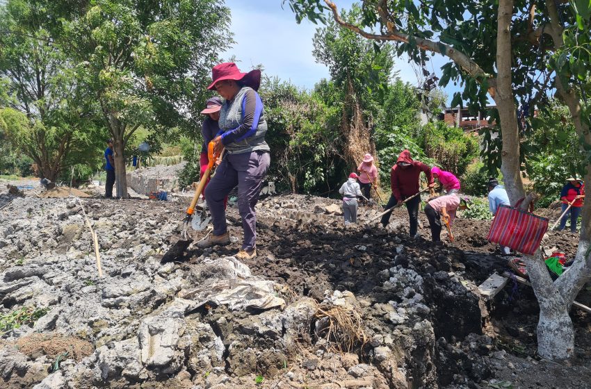  Compartir buenas prácticas, llama Secma en Día Mundial de lucha contra la Desertificación y la Sequía