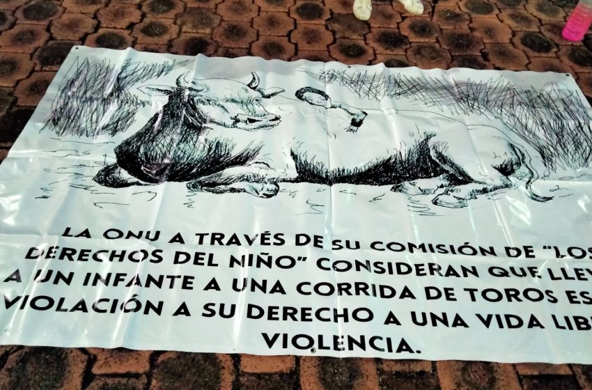  ¡Basta a la crueldad animal! Gritan activistas afuera del Palacio del Arte