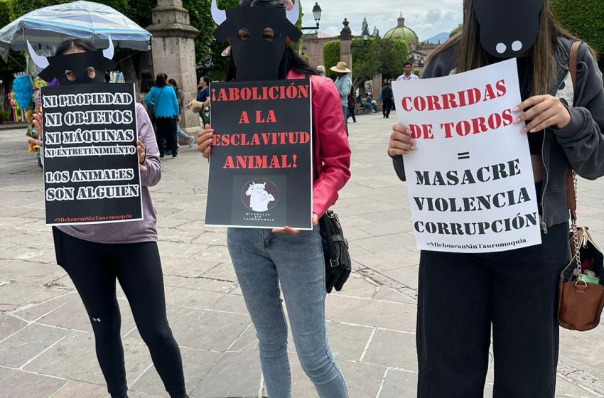  Activistas alzan la voz contra las corridas de toros en el marco del Día Internacional de los Animales