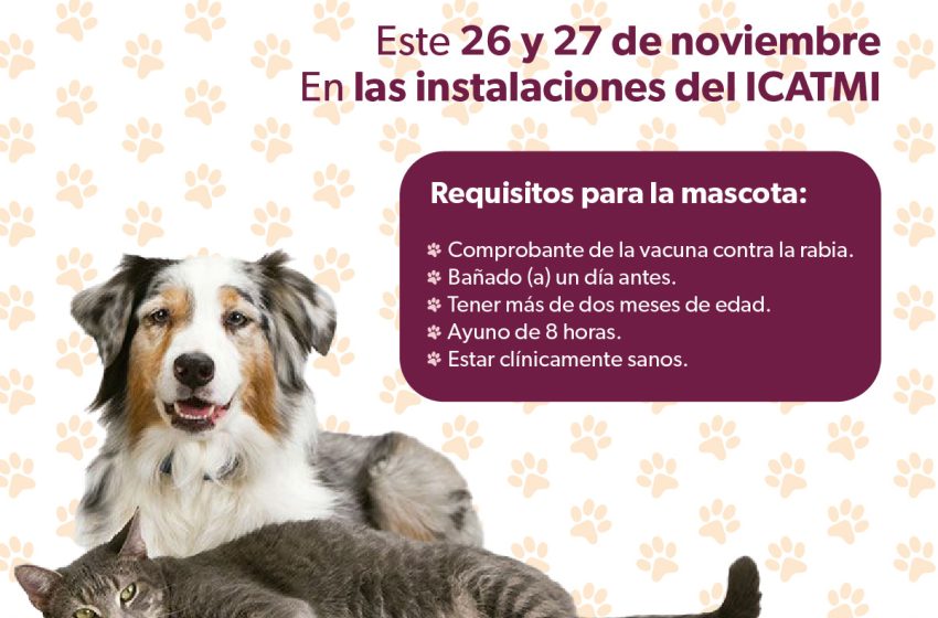 Anuncia SSM jornada de esterilización para perros y gatos en Quiroga