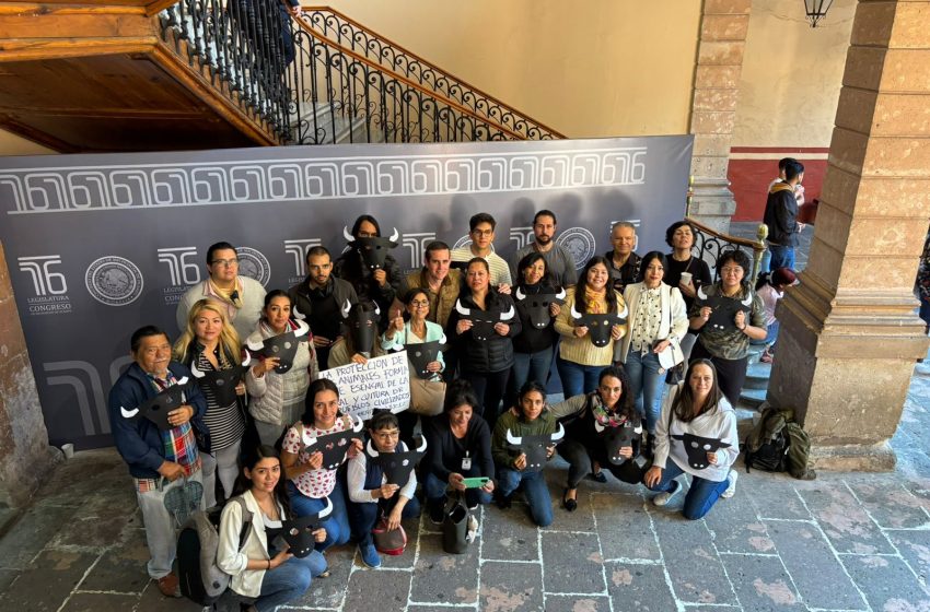  Impulsan colectivos animalistas, iniciativa en Michoacán para abolir las corridas de toros