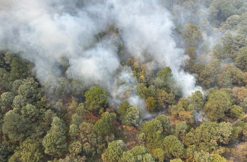  Trabaja Gobierno de Michoacán en contención de incendio en Zinapécuaro