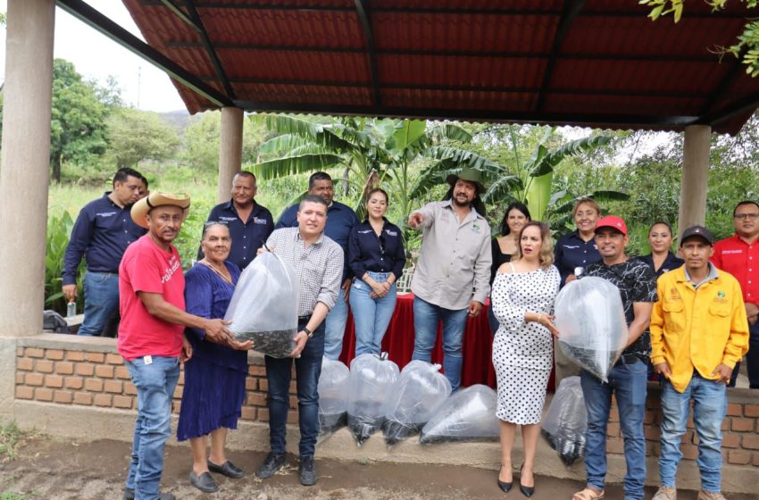  Vicente Gómez promueve siembra de tilapia en el Distrito XIX