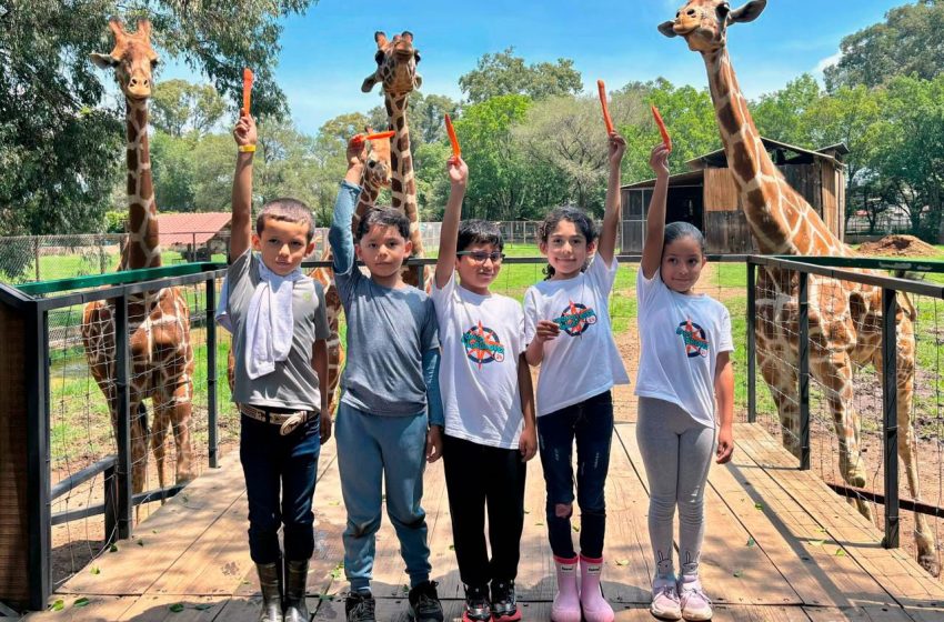 Disfruta un verano de aventura en el Zoológico de Morelia