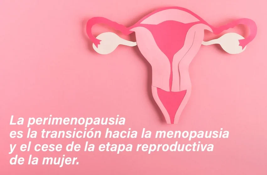  ¿Qué es la perimenopausia)