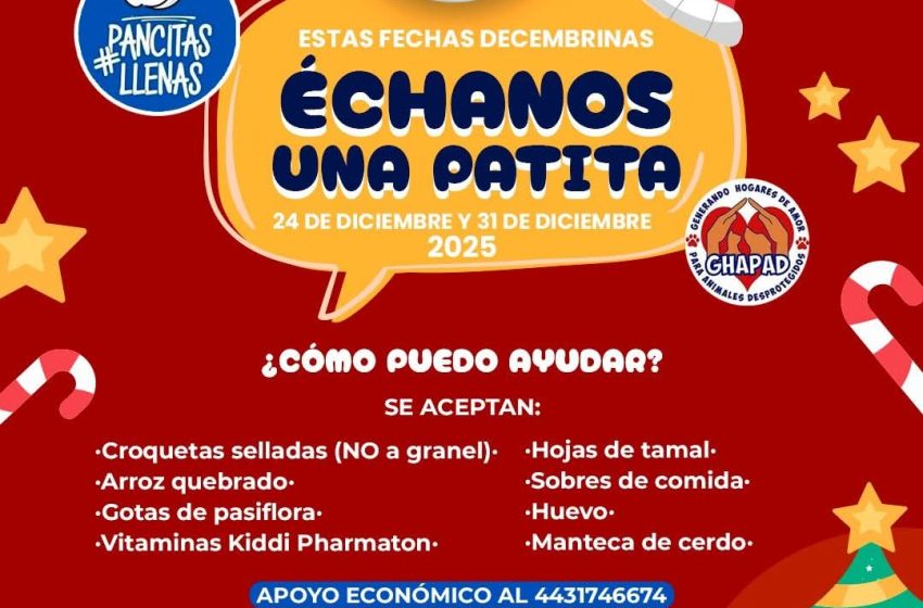   Pancitas Llenas Navidad 2025: más de 2 toneladas de alimento y una noche sin crueldad animal