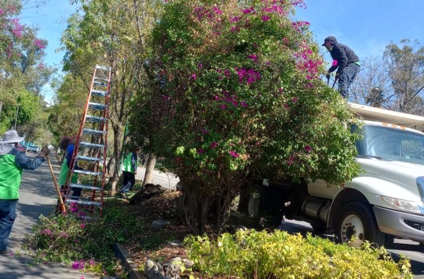  Gobierno Municipal interviene y mejora los espacios públicos de Morelia