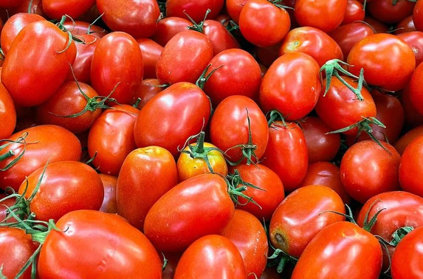  🍅🚨 ¡El jitomate por las nubes!